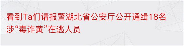 看到Ta们请报警湖北省公安厅公开通缉18名涉“毒诈黄”在逃人员