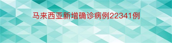 马来西亚新增确诊病例22341例