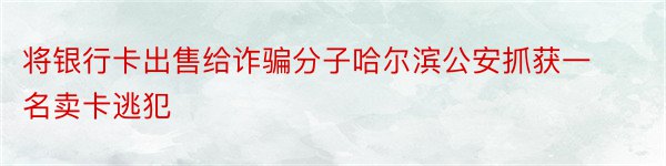 将银行卡出售给诈骗分子哈尔滨公安抓获一名卖卡逃犯