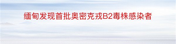 缅甸发现首批奥密克戎B2毒株感染者