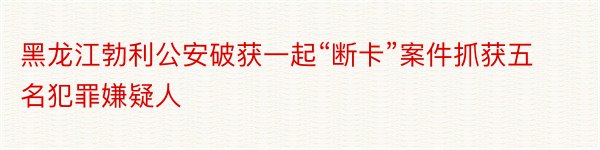 黑龙江勃利公安破获一起“断卡”案件抓获五名犯罪嫌疑人