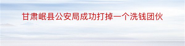 甘肃岷县公安局成功打掉一个洗钱团伙