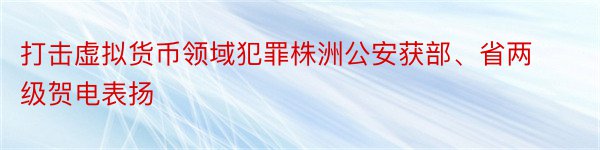 打击虚拟货币领域犯罪株洲公安获部、省两级贺电表扬