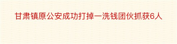 甘肃镇原公安成功打掉一洗钱团伙抓获6人