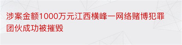 涉案金额1000万元江西横峰一网络赌博犯罪团伙成功被摧毁