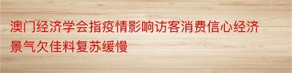 澳门经济学会指疫情影响访客消费信心经济景气欠佳料复苏缓慢