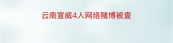 云南宣威4人网络赌博被查