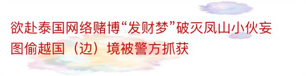 欲赴泰国网络赌博“发财梦”破灭凤山小伙妄图偷越国（边）境被警方抓获