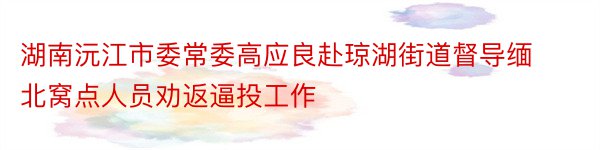 湖南沅江市委常委高应良赴琼湖街道督导缅北窝点人员劝返逼投工作