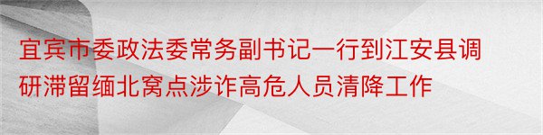 宜宾市委政法委常务副书记一行到江安县调研滞留缅北窝点涉诈高危人员清降工作