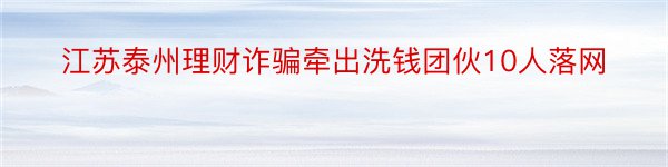 江苏泰州理财诈骗牵出洗钱团伙10人落网