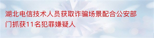 湖北电信技术人员获取诈骗场景配合公安部门抓获11名犯罪嫌疑人