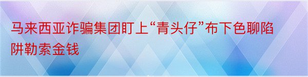 马来西亚诈骗集团盯上“青头仔”布下色聊陷阱勒索金钱