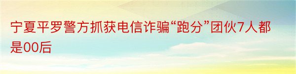 宁夏平罗警方抓获电信诈骗“跑分”团伙7人都是00后