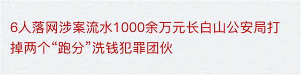 6人落网涉案流水1000余万元长白山公安局打掉两个“跑分”洗钱犯罪团伙