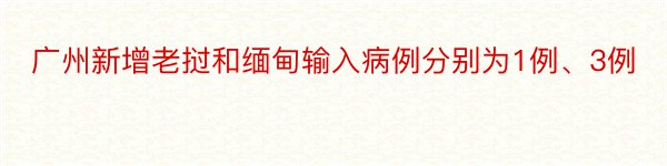 广州新增老挝和缅甸输入病例分别为1例、3例