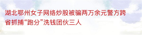 湖北鄂州女子网络炒股被骗两万余元警方跨省抓捕“跑分”洗钱团伙三人