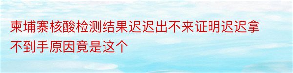 柬埔寨核酸检测结果迟迟出不来证明迟迟拿不到手原因竟是这个