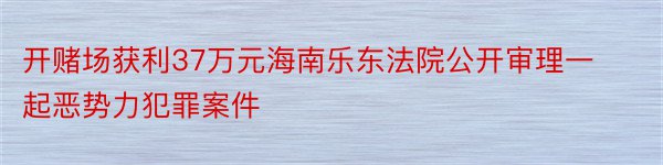 开赌场获利37万元海南乐东法院公开审理一起恶势力犯罪案件