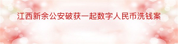 江西新余公安破获一起数字人民币洗钱案