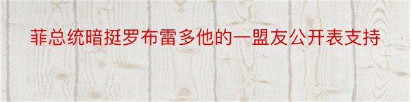 菲总统暗挺罗布雷多他的一盟友公开表支持