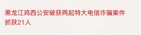 黑龙江鸡西公安破获两起特大电信诈骗案件抓获21人