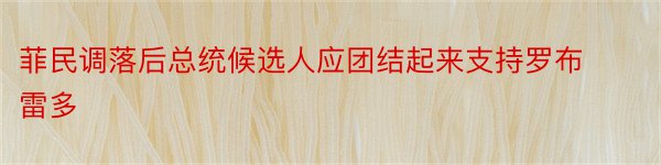 菲民调落后总统候选人应团结起来支持罗布雷多