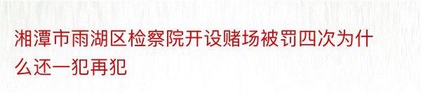 湘潭市雨湖区检察院开设赌场被罚四次为什么还一犯再犯