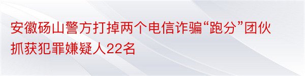 安徽砀山警方打掉两个电信诈骗“跑分”团伙抓获犯罪嫌疑人22名