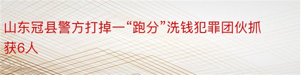 山东冠县警方打掉一“跑分”洗钱犯罪团伙抓获6人