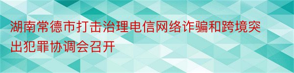 湖南常德市打击治理电信网络诈骗和跨境突出犯罪协调会召开