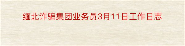 缅北诈骗集团业务员3月11日工作日志