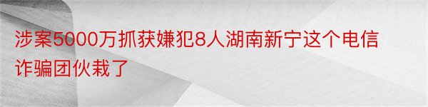 涉案5000万抓获嫌犯8人湖南新宁这个电信诈骗团伙栽了