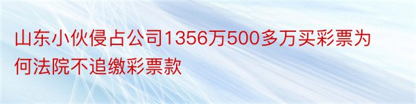 山东小伙侵占公司1356万500多万买彩票为何法院不追缴彩票款