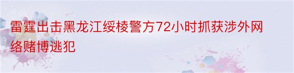 雷霆出击黑龙江绥棱警方72小时抓获涉外网络赌博逃犯