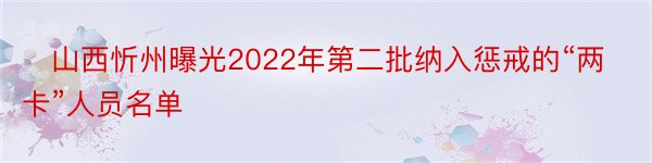 ​山西忻州曝光2022年第二批纳入惩戒的“两卡”人员名单