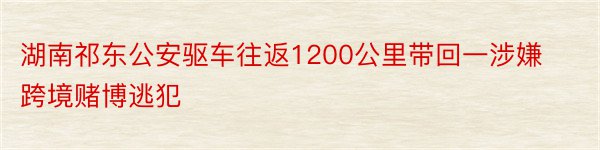 湖南祁东公安驱车往返1200公里带回一涉嫌跨境赌博逃犯