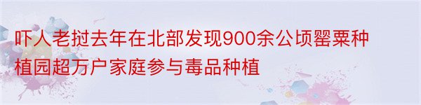 吓人老挝去年在北部发现900余公顷罂粟种植园超万户家庭参与毒品种植