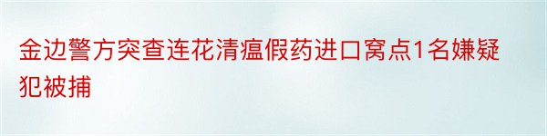 金边警方突查连花清瘟假药进口窝点1名嫌疑犯被捕