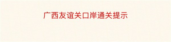 广西友谊关口岸通关提示