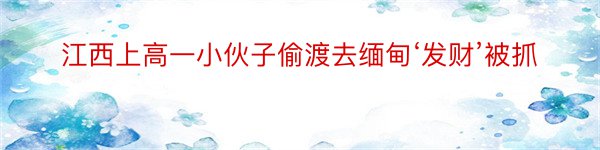 江西上高一小伙子偷渡去缅甸‘发财’被抓