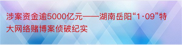 涉案资金逾5000亿元——湖南岳阳“1·09”特大网络赌博案侦破纪实