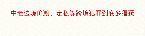 中老边境偷渡、走私等跨境犯罪到底多猖獗