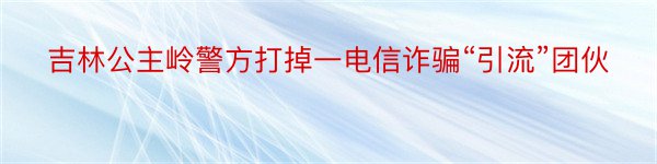 吉林公主岭警方打掉一电信诈骗“引流”团伙