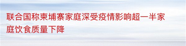 联合国称柬埔寨家庭深受疫情影响超一半家庭饮食质量下降