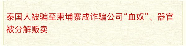 泰国人被骗至柬埔寨成诈骗公司“血奴”、器官被分解贩卖