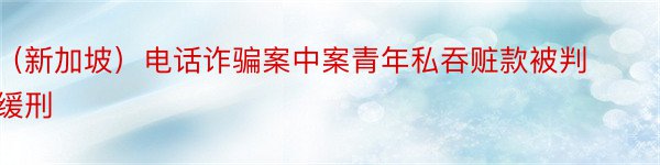 （新加坡）电话诈骗案中案青年私吞赃款被判缓刑