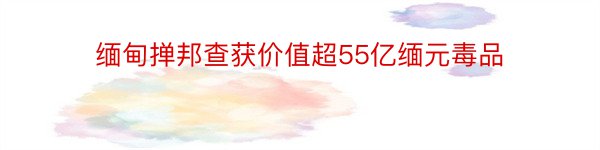 缅甸掸邦查获价值超55亿缅元毒品