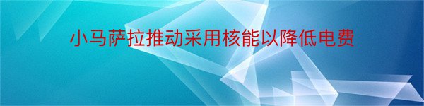 小马萨拉推动采用核能以降低电费