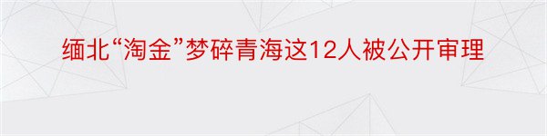 缅北“淘金”梦碎青海这12人被公开审理